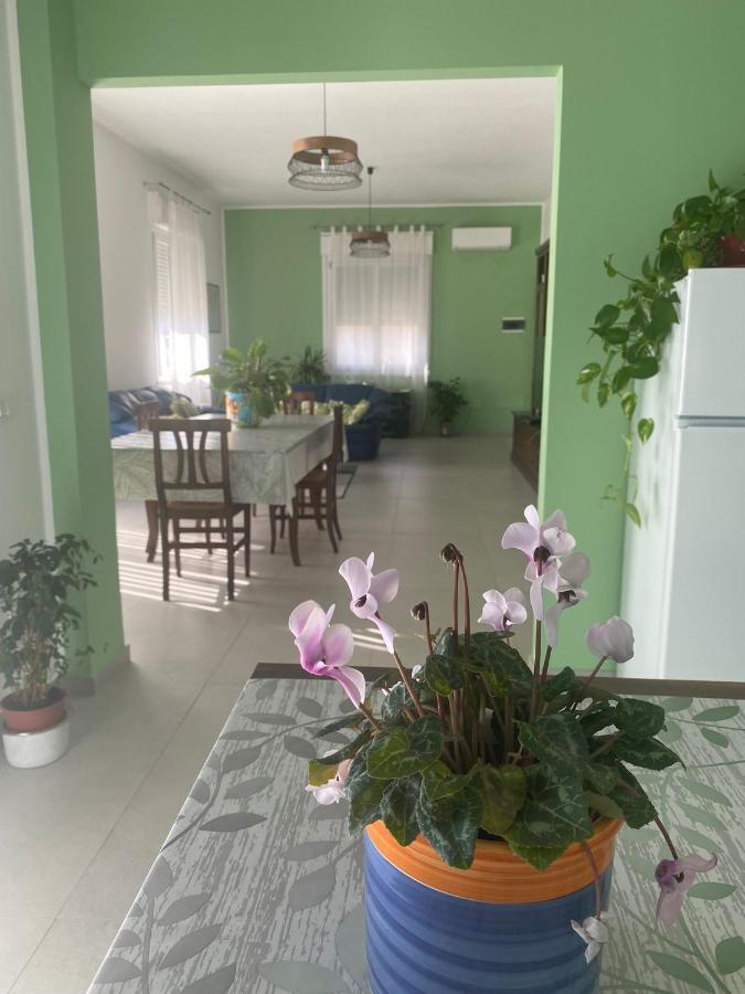 La Casa Verde Leilighet Cinisi Eksteriør bilde